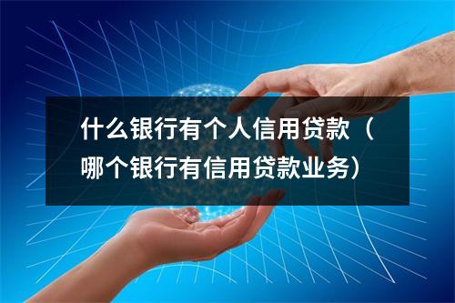 什么银行有个人信用贷款（哪个银行有信用贷款业务）