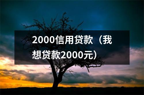 2000信用贷款(我想贷款2000元)