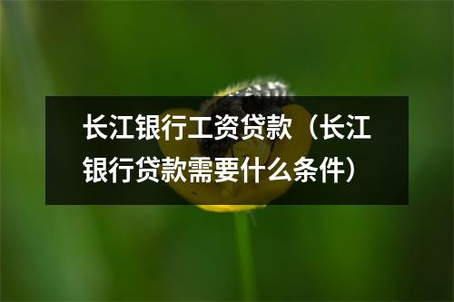 长江银行工资贷款（长江银行贷款需要什么条件）