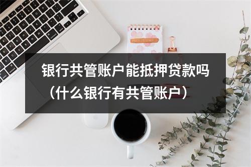 银行共管账户能抵押贷款吗(什么银行有共管账户)