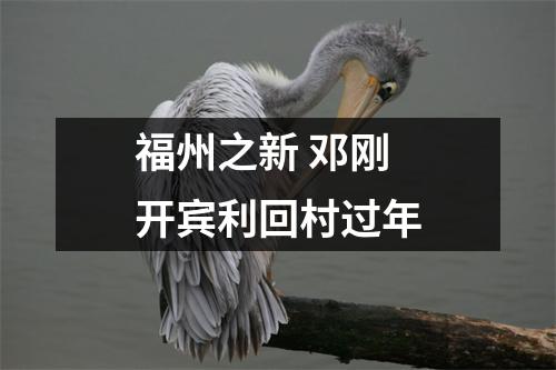 福州之新 邓刚开宾利回村过年