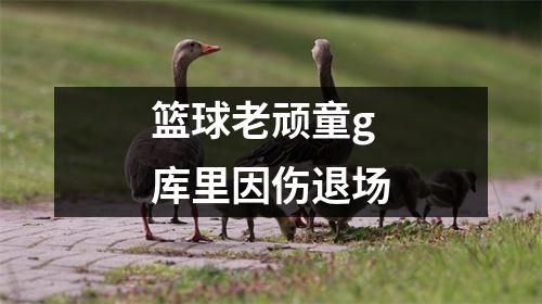 篮球老顽童g 库里因伤退场