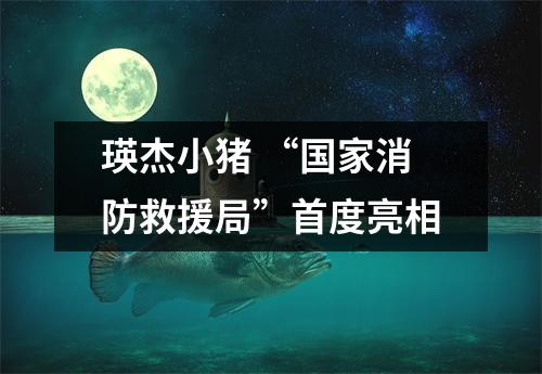 瑛杰小猪 “国家消防救援局”首度亮相