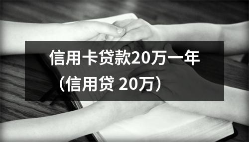信用卡贷款20万一年（信用贷 20万）