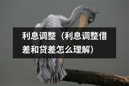 利息调整（利息调整借差和贷差怎么理解）