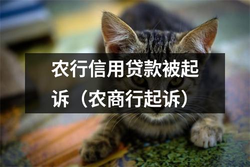 农行信用贷款被起诉（农商行起诉）