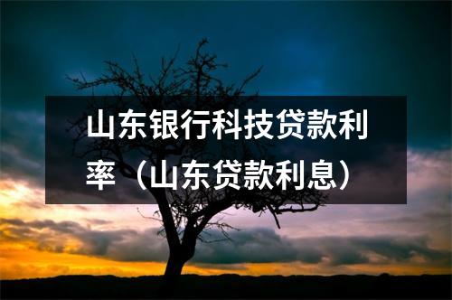 山东银行科技贷款利率（山东贷款利息）