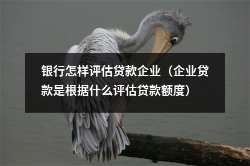 银行怎样评估贷款企业(企业贷款是根据什么评估贷款额度)