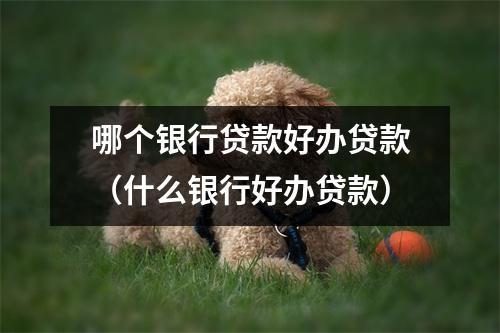 哪个银行贷款好办贷款（什么银行好办贷款）