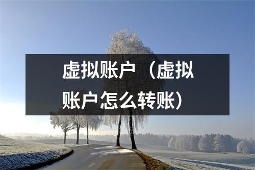 虚拟账户（虚拟账户怎么转账）