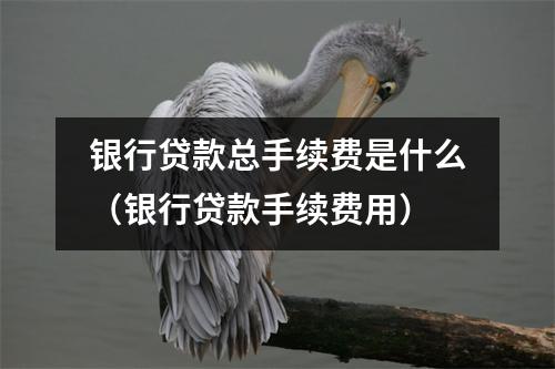 银行贷款总手续费是什么（银行贷款手续费用）