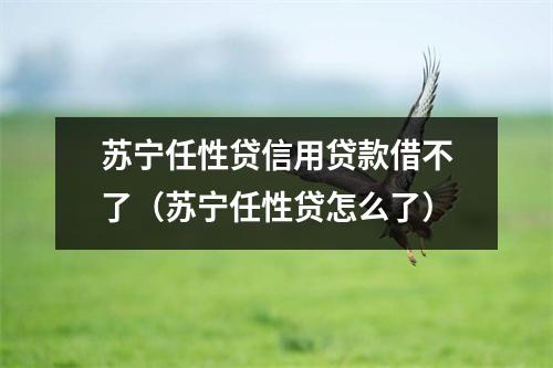 苏宁任性贷信用贷款借不了（苏宁任性贷怎么了）