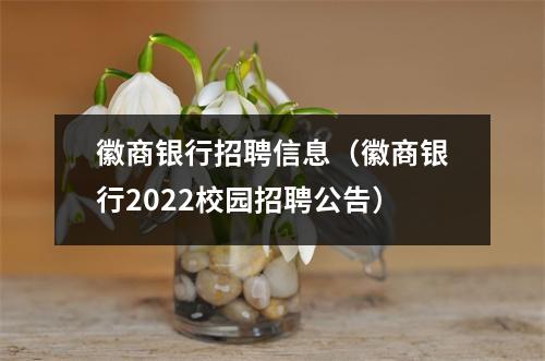 徽商银行招聘信息(徽商银行2022校园招聘公告)