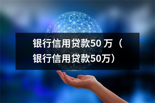 银行信用贷款50 万（银行信用贷款50万）