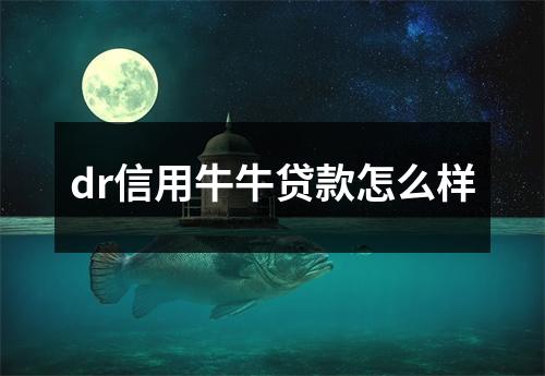 dr信用牛牛贷款怎么样