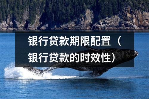 银行贷款期限配置(银行贷款的时效性)