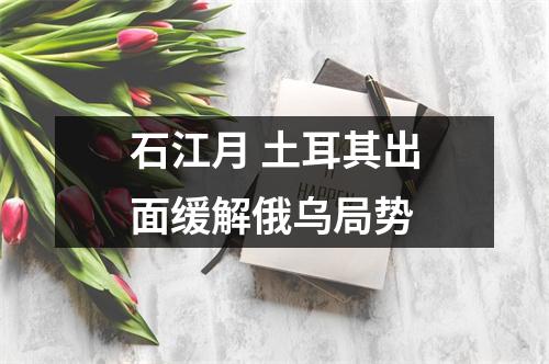 石江月 土耳其出面缓解俄乌局势