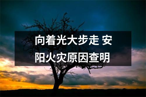 向着光大步走 安阳火灾原因查明