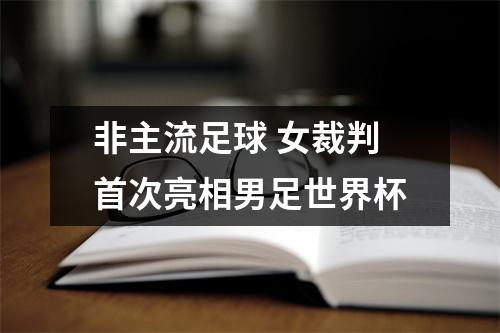 非主流足球 女裁判首次亮相男足世界杯