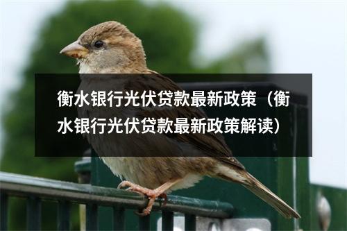 衡水银行光伏贷款最新政策（衡水银行光伏贷款最新政策解读）