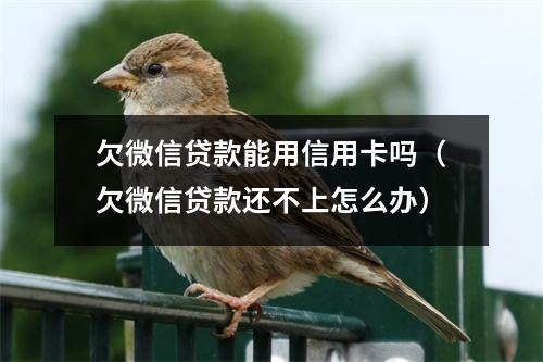 欠微信贷款能用信用卡吗（欠微信贷款还不上怎么办）