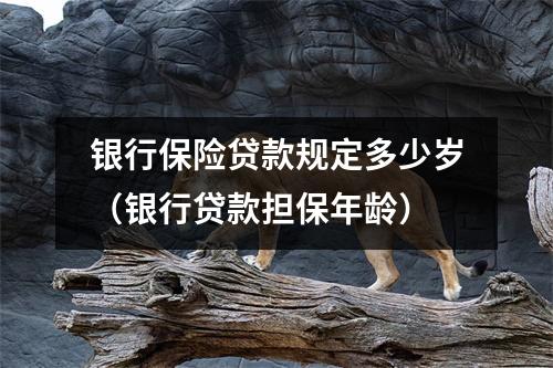 银行保险贷款规定多少岁（银行贷款担保年龄）