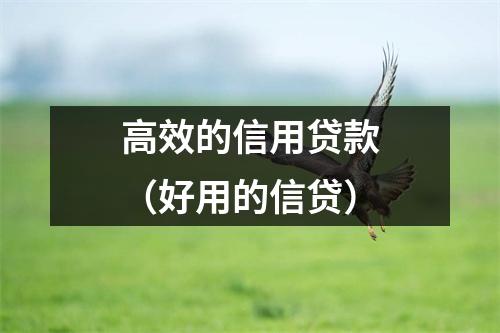 高效的信用贷款(好用的信贷)
