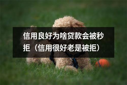 信用良好为啥贷款会被秒拒（信用很好老是被拒）