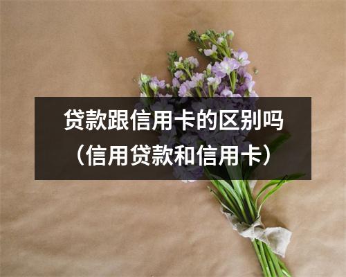 贷款跟信用卡的区别吗（信用贷款和信用卡）