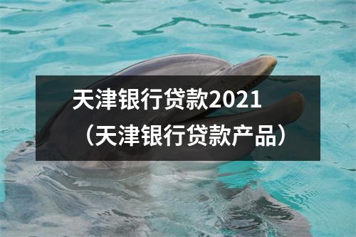 天津银行贷款2021（天津银行贷款产品）