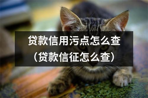 贷款信用污点怎么查（贷款信征怎么查）