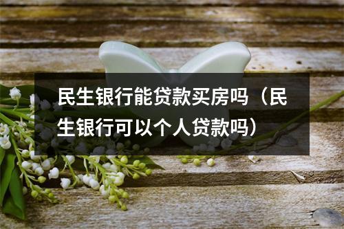 民生银行能贷款买房吗（民生银行可以个人贷款吗）