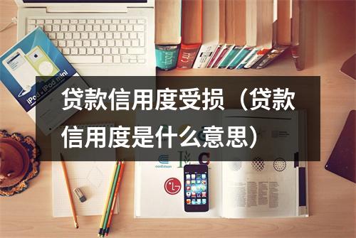 贷款信用度受损（贷款信用度是什么意思）