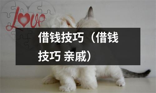 借钱技巧（借钱技巧 亲戚）