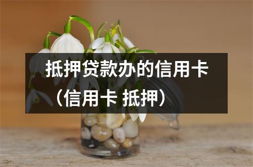 抵押贷款办的信用卡（信用卡 抵押）