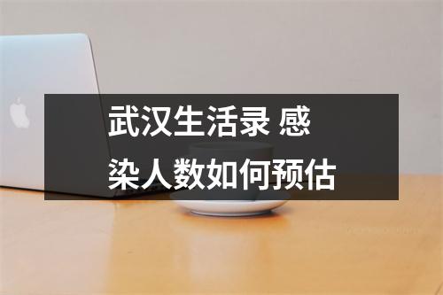 武汉生活录 感染人数如何预估
