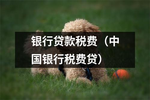 银行贷款税费（中国银行税费贷）