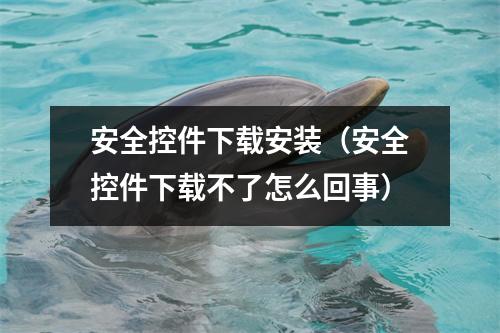 安全控件下载安装（安全控件下载不了怎么回事）
