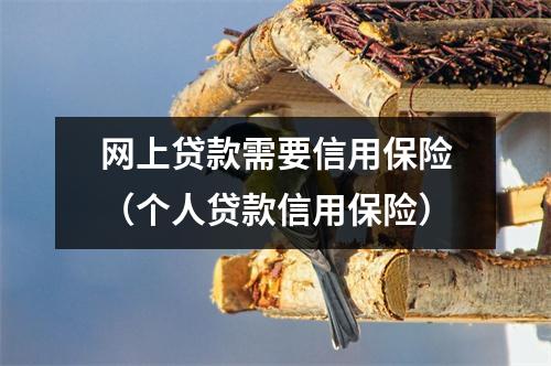 网上贷款需要信用保险（个人贷款信用保险）