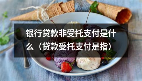 银行贷款非受托支付是什么（贷款受托支付是指）