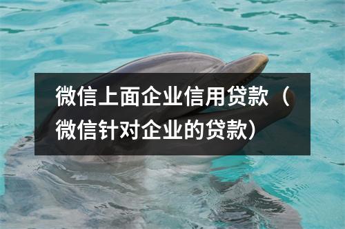 微信上面企业信用贷款（微信针对企业的贷款）