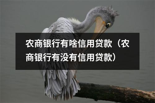 农商银行有啥信用贷款（农商银行有没有信用贷款）