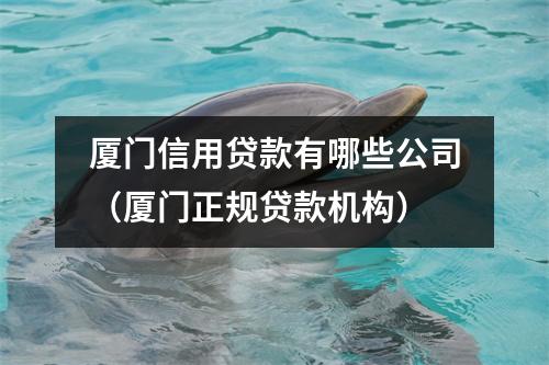 厦门信用贷款有哪些公司（厦门正规贷款机构）