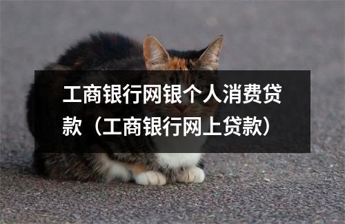 工商银行网银个人消费贷款（工商银行网上贷款）