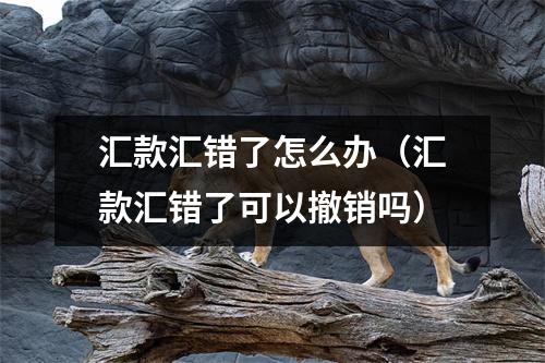 汇款汇错了怎么办（汇款汇错了可以撤销吗）