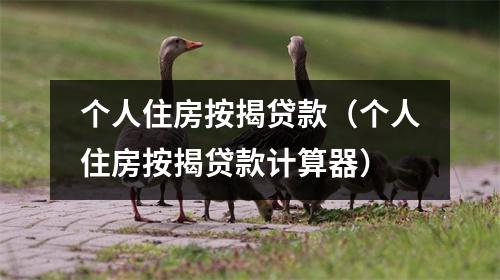 个人住房按揭贷款(个人住房按揭贷款计算器)