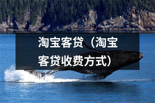 淘宝客贷（淘宝客贷收费方式）