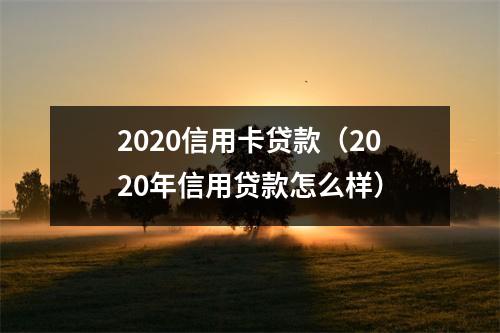 2020信用卡贷款（2020年信用贷款怎么样）
