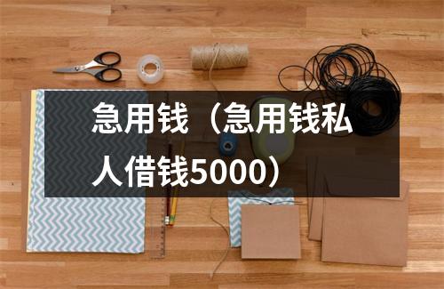 急用钱(急用钱私人借钱5000)