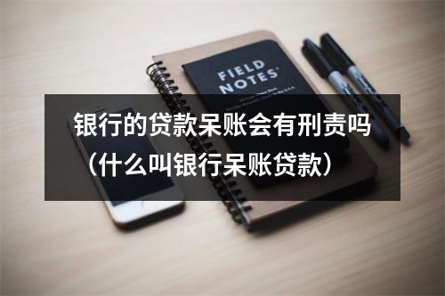 银行的贷款呆账会有刑责吗（什么叫银行呆账贷款）